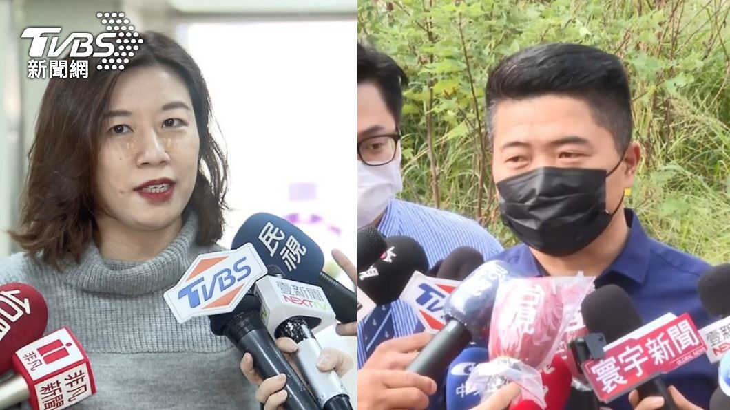 民進黨前立委林靜儀、國民黨前立委顏寬恒。（圖／TVBS資料畫面）