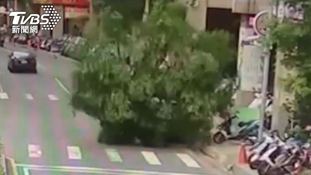 轎車慘遭滅頂。（圖／TVBS）