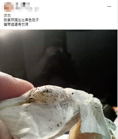 原PO指出自家的蒜頭長出黑點。(圖/翻攝自《廚藝公社》)