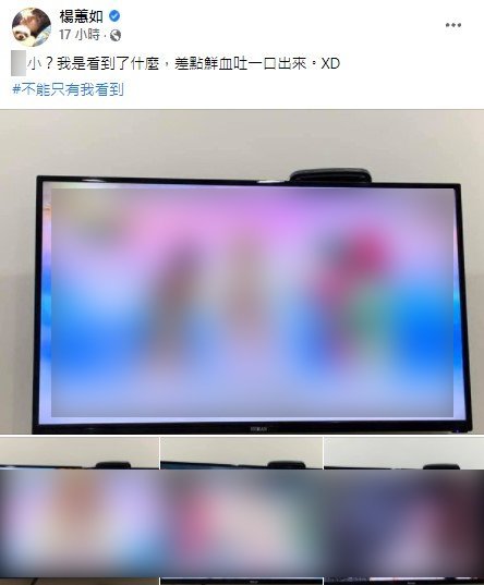 楊蕙如看完播出傻眼。(圖/翻攝自楊蕙如臉書)