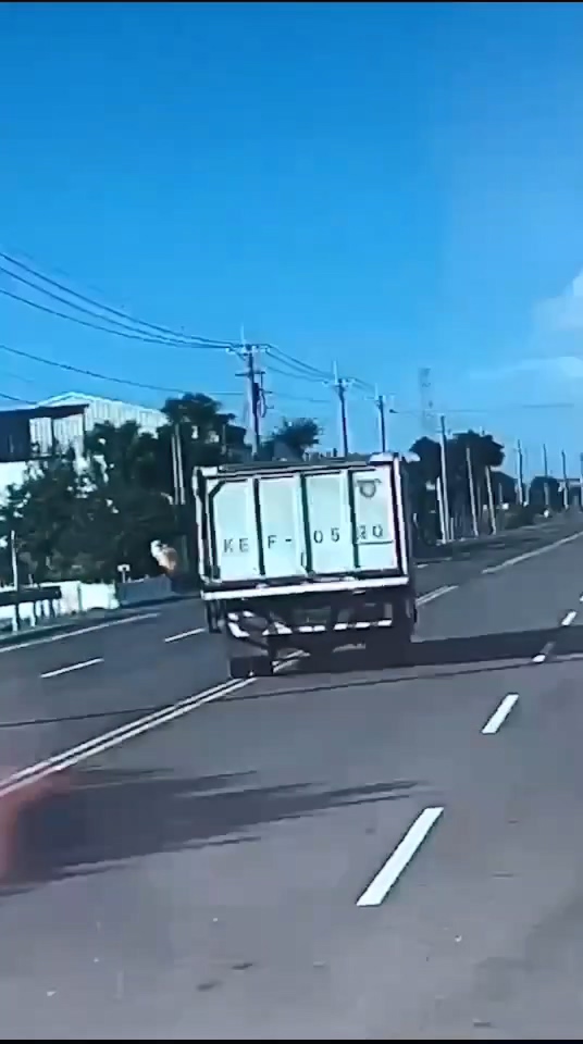 載送死豬的貨車沿路滴污水，合法土虱養殖場指出，他們只是委託代為清運，並不清楚這些死豬將運往何處。（圖／民眾提供）