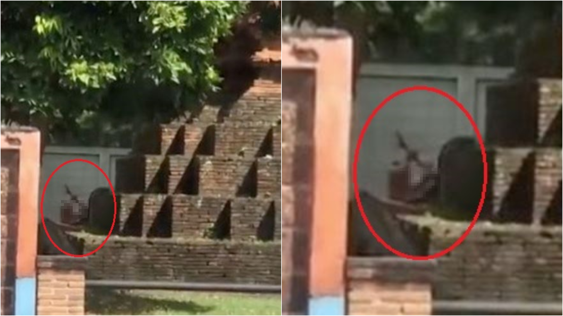 百年佛塔當床!約見前女友路邊開戰 泰男被逮嘆:以為很隱密