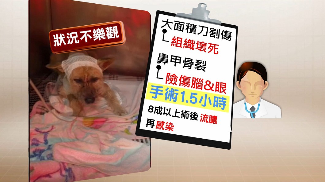 圖/何偉庭提供
