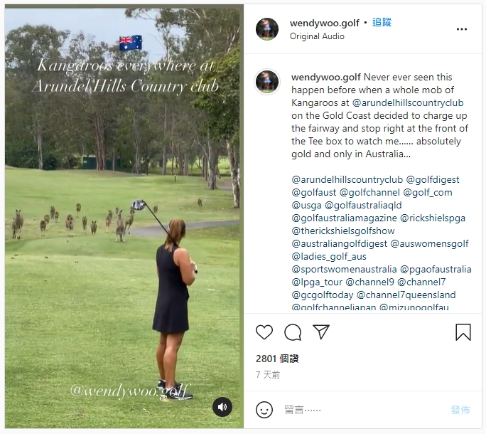袋鼠可愛模樣全被後方友人捕捉。(圖/翻攝自wendywoo.golf IG)
