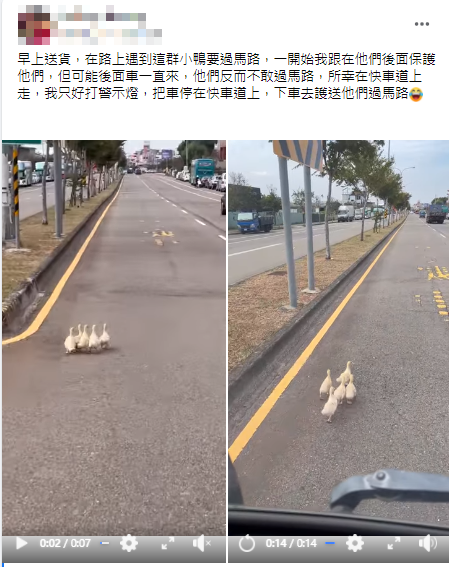 一名貨車司機分享,前幾日送貨時,巧遇一群小鴨正要過馬路。(圖/翻攝自爆廢公社公開版臉書)