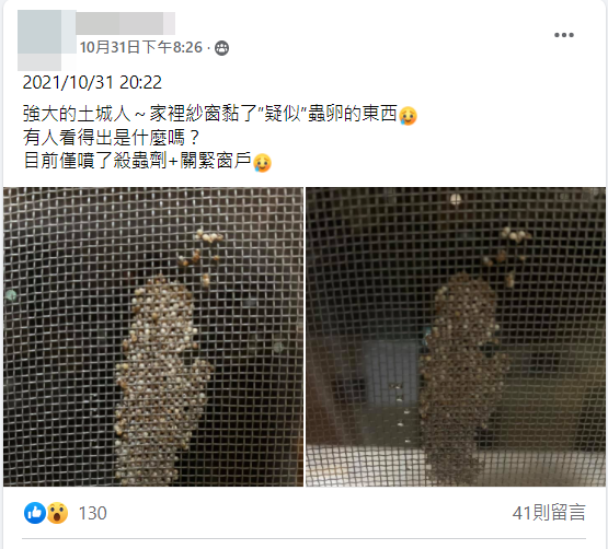 網友好奇上網詢問。（圖／翻攝自我是土城人 我愛土城區臉書）