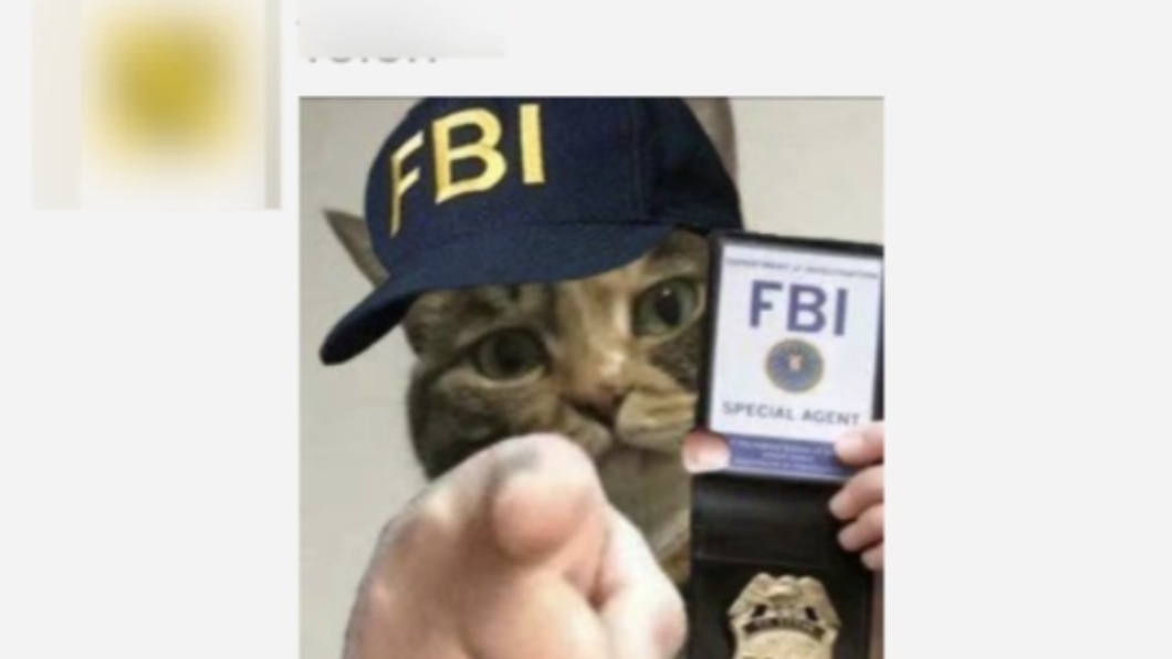 網友說微信「狗狗公安」的表情包都改為「貓貓FBI」。(圖/翻攝自@ftium4 Twitter)