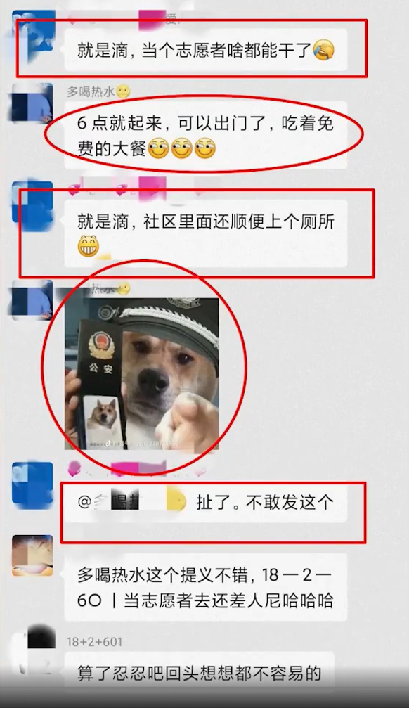 男子因不滿疫情控管,在群組發表狗狗警察貼圖調侃。(圖/翻攝自微博)