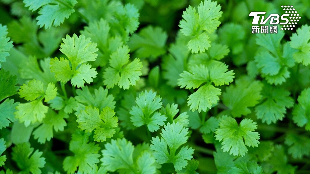 十大惹人嫌食物「好處超多」 學著吃有助健康