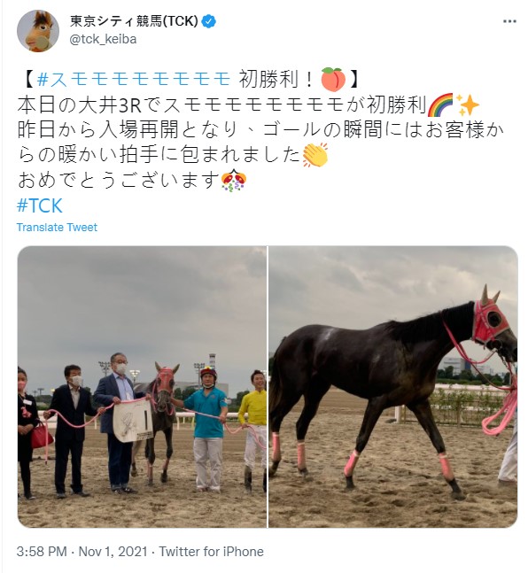 「Sumomomomomomomomo」贏得首勝。(圖/翻攝自推特@東京シティ競馬(TCK))