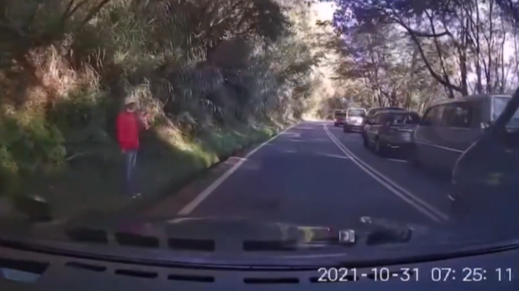 20多輛白牌箱型車違停占道路,後方駕駛只能跨越雙黃線超車,相當驚險。(圖/民眾提供)