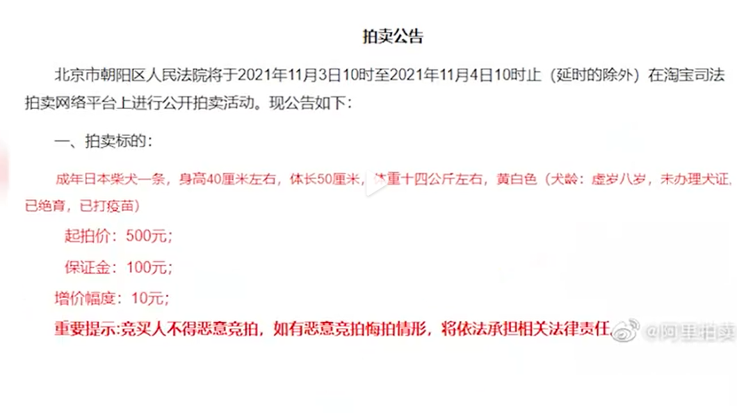 登登二度被拍賣。(圖/翻攝自澎湃新聞)