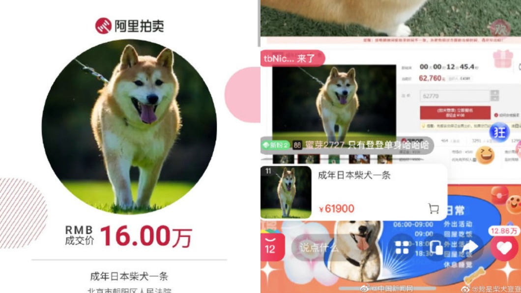 登登以70萬元新台幣賣出。(圖/翻攝自微博)