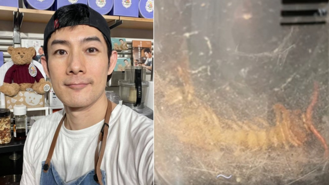 15cm百腳巨蟲啃咬!施易男「爆後遺症」網勸:快就醫