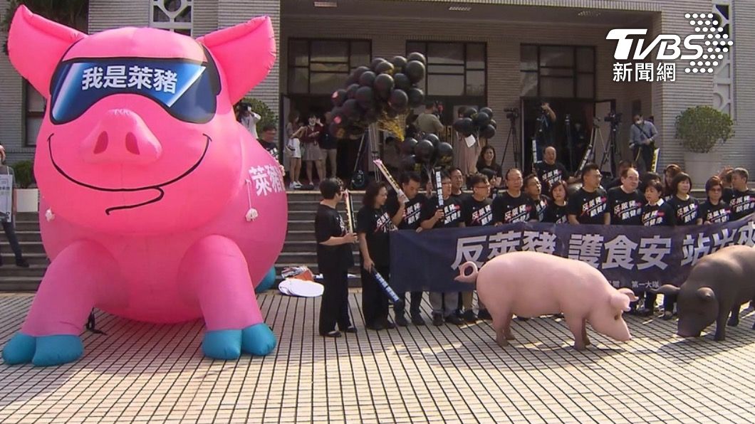 國民黨反對進口萊豬。(圖/TVBS資料畫面)