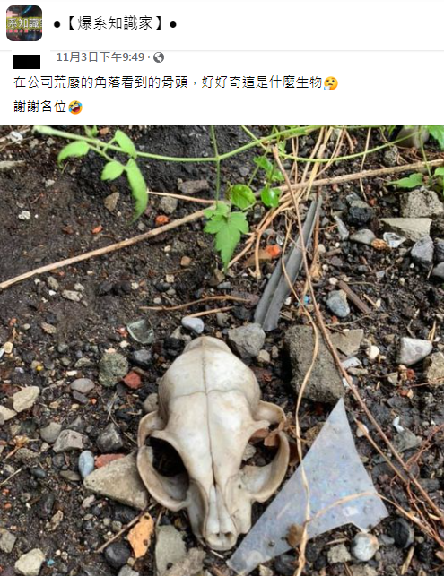 （圖／翻攝自「爆系知識家」）