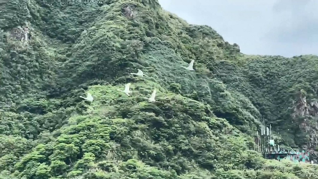 圖／資深龜山島解說員李孝提供