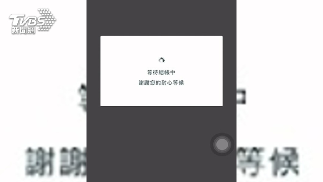快訊／雙11購物太火熱　知名電商晚間一度當機