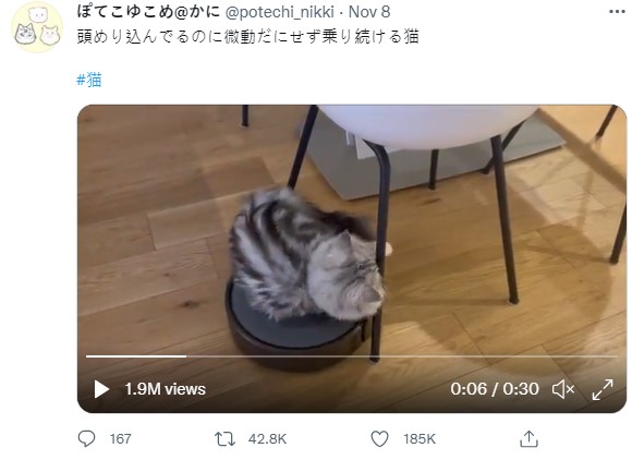貓咪「小雪」坐在掃地機器人上模樣可愛,萌翻網友。(圖/翻攝自推特@potechi_nikki)