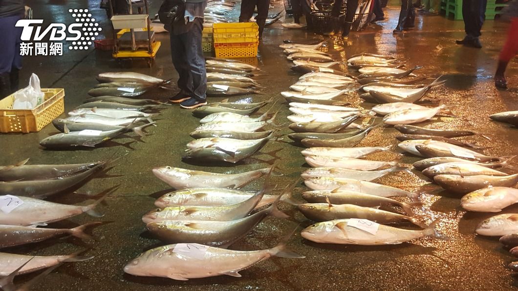 福島核災引發魚類食安疑慮　原能會：10年檢測均正常