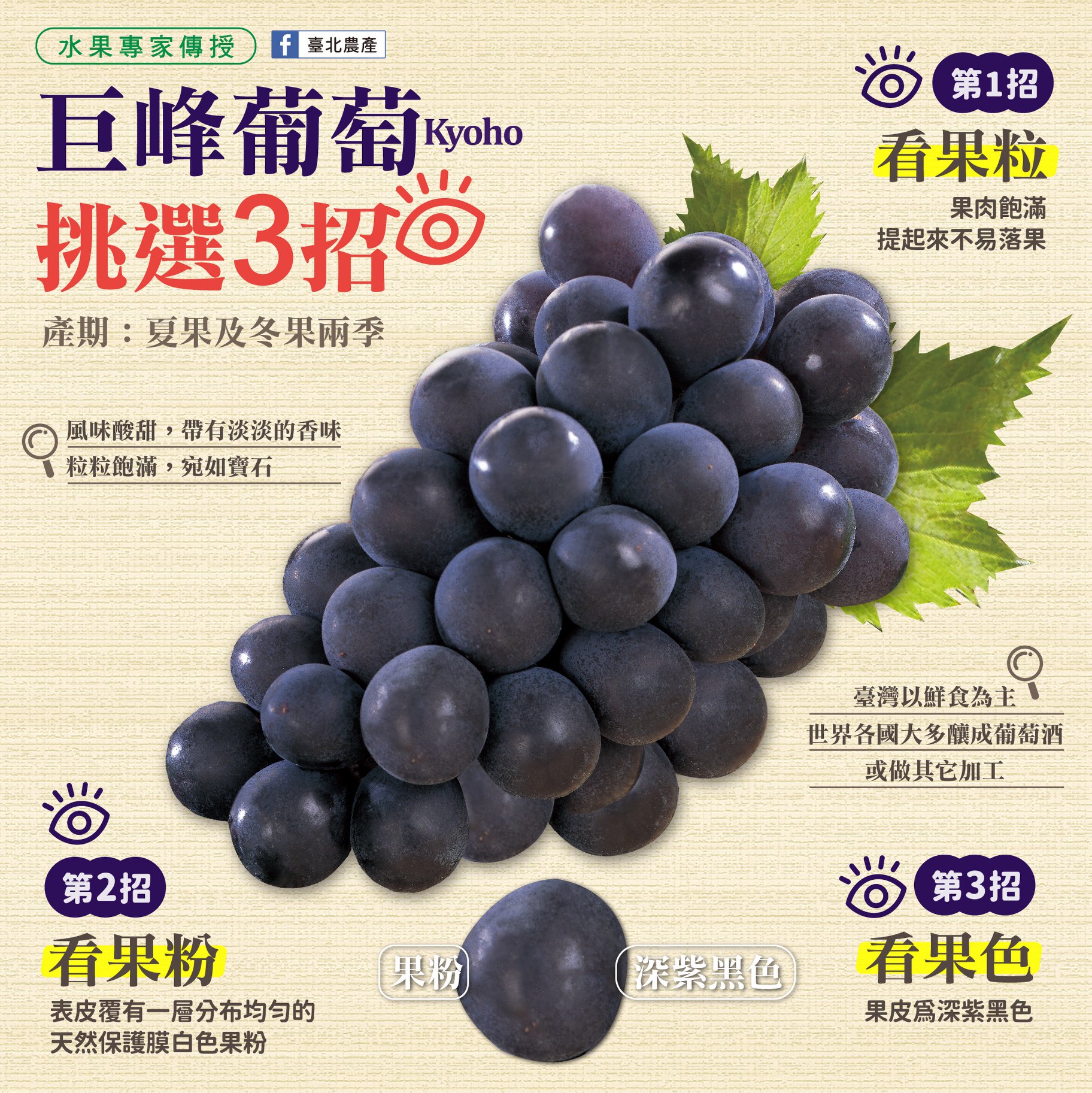 巨峰葡萄挑選3招。（圖／翻攝自台北農業臉書）