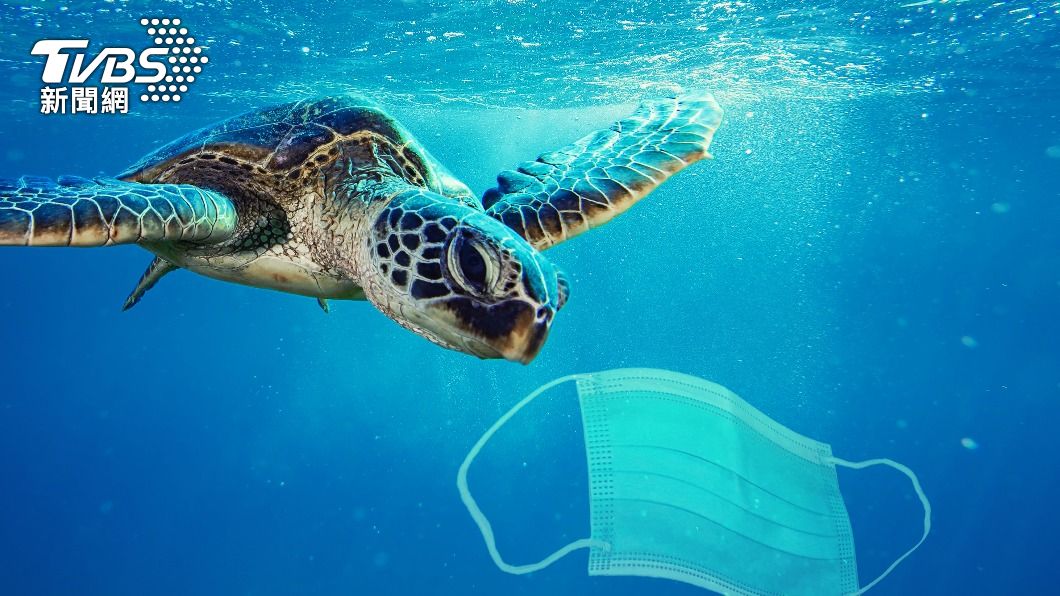 口罩可能被海洋生物誤食。(示意圖/shutterstock達志影像)