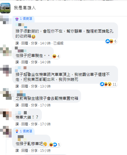 當地人解答樹枝真實用途。(圖/翻攝自我是高雄人Facebook)
