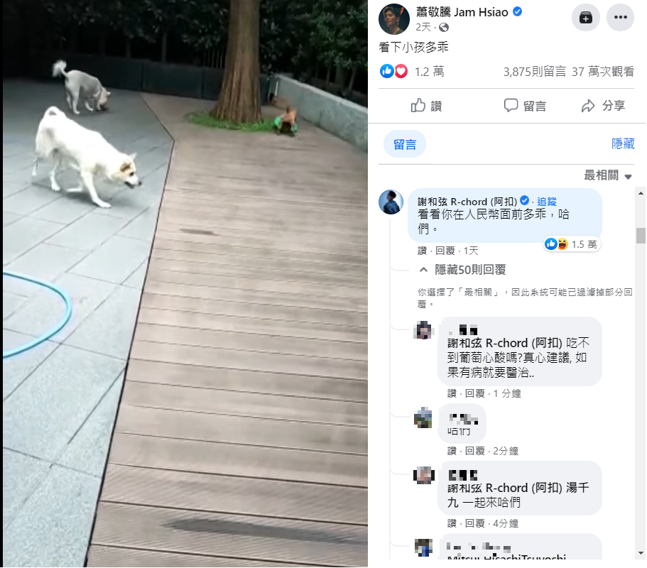 蕭敬騰貼狗狗影片，謝和弦在底下開嗆。（圖／翻攝自蕭敬騰臉書） 