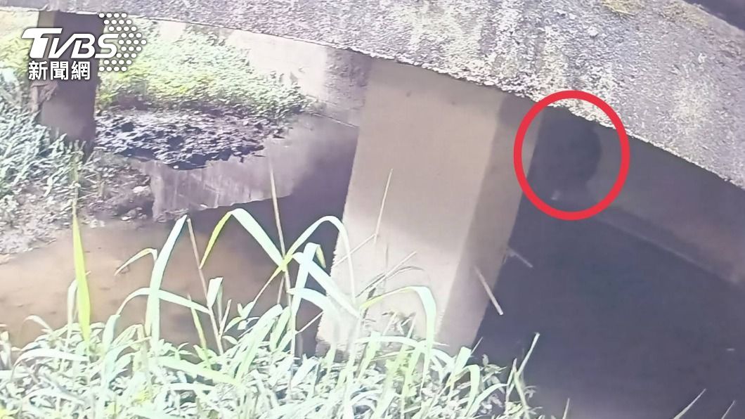 蕭男躲在景觀平台下。(圖/TVBS)