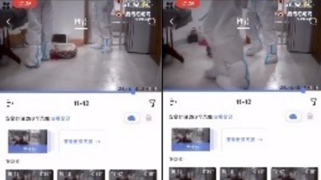 陸飼主在外隔離…防疫員逕自入屋 愛犬遭鐵棍敲頭並撲殺