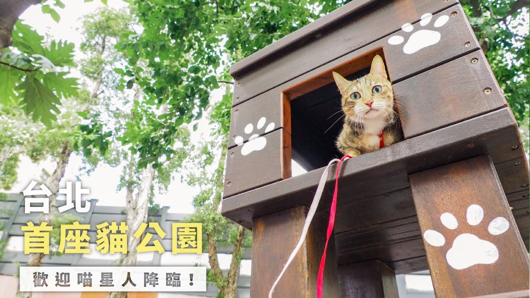 柯文哲臉書鼓勵首座貓公園遛貓遭批　動保處：是造型
