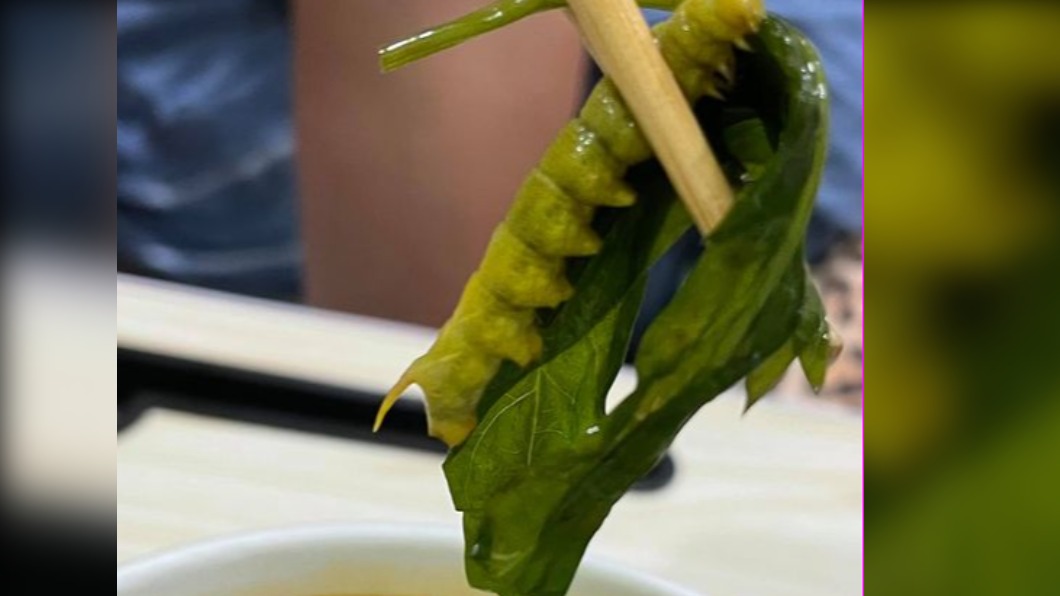 噁爆!吃湯麵驚見「粗菜梗」 撈起崩潰:快變成鐵甲蛹了