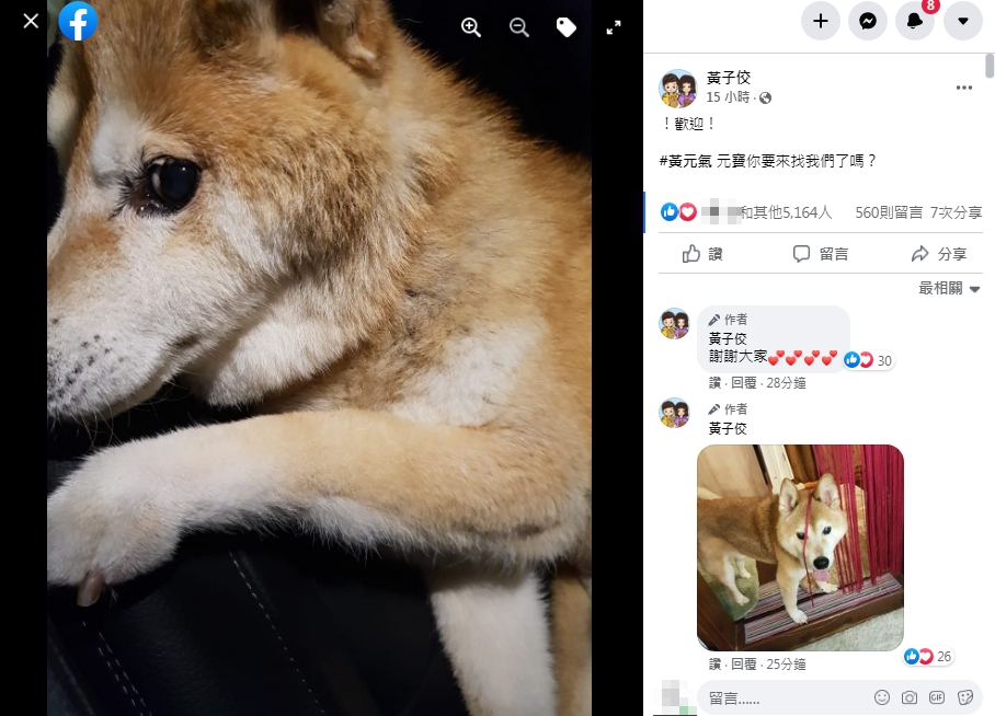 黃子佼在臉書曬出已故愛犬「元氣」的照片。(圖/翻攝自黃子佼臉書)