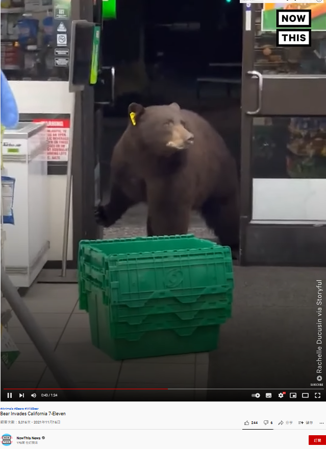 熊自己打開超商大門嚇壞店員。(圖/翻攝自 NowThis News YouTube)