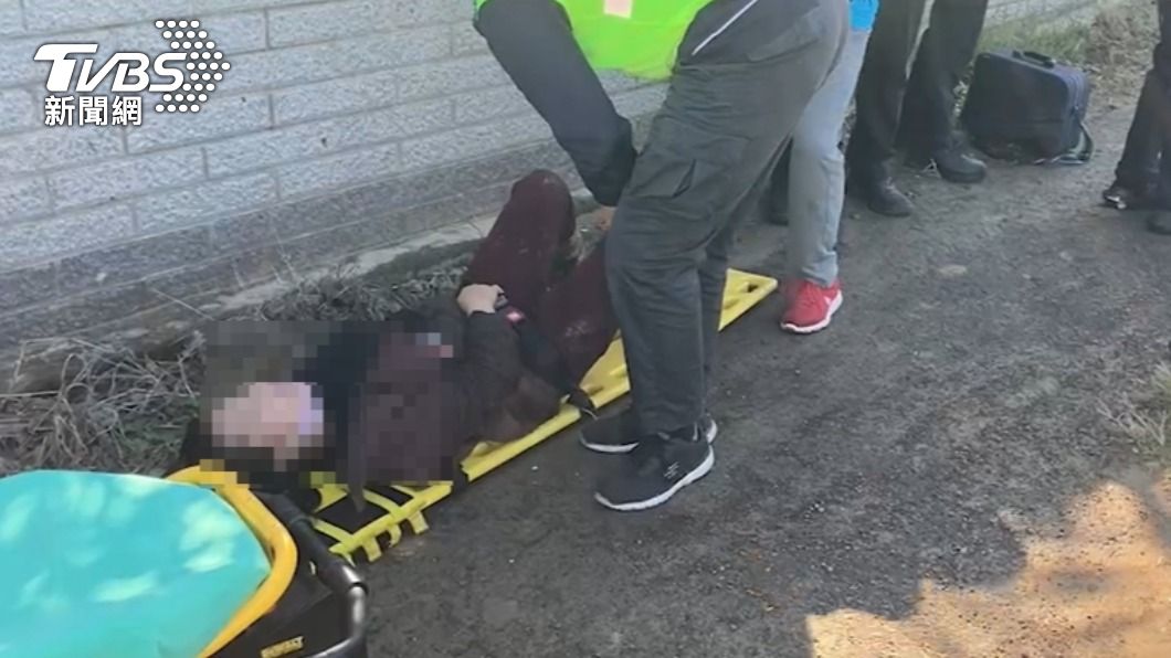 種菜阿嬤遭火車擦撞。(圖/TVBS)