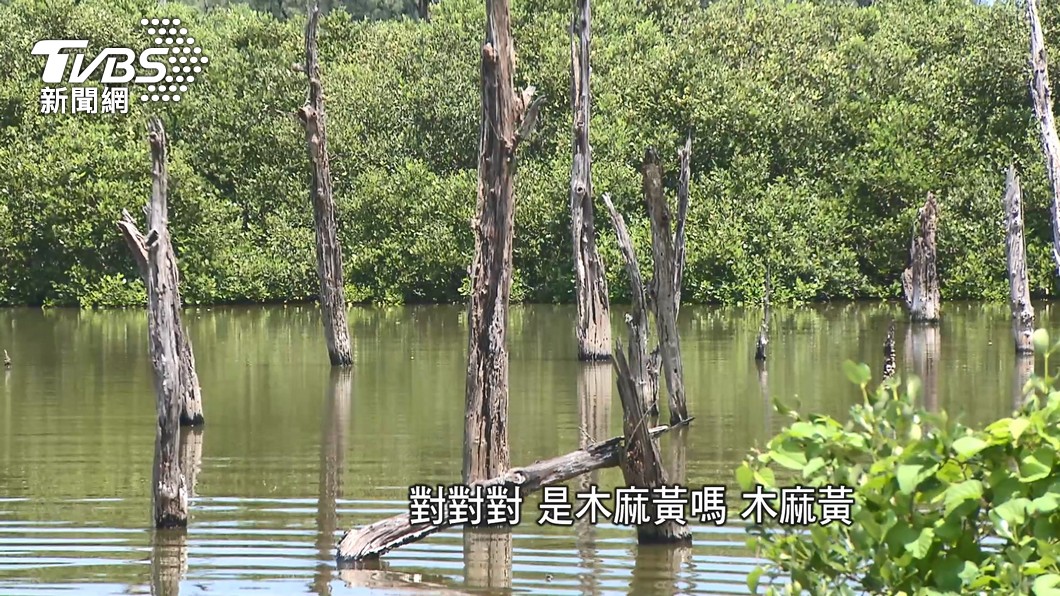 圖／TVBS