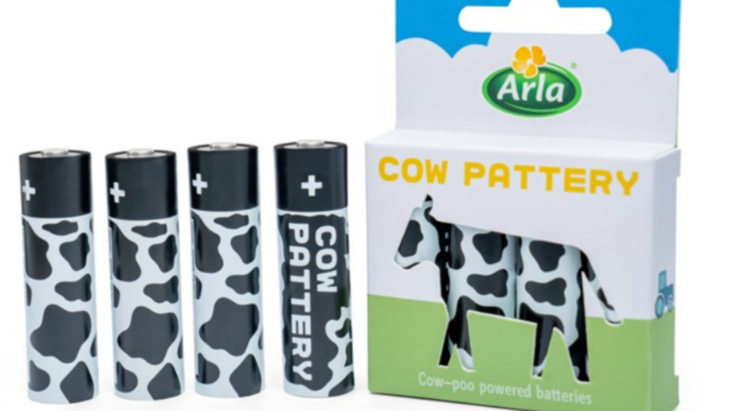 潛力股！英Cow「黃金」發電　把牛糞變電池：還可充電