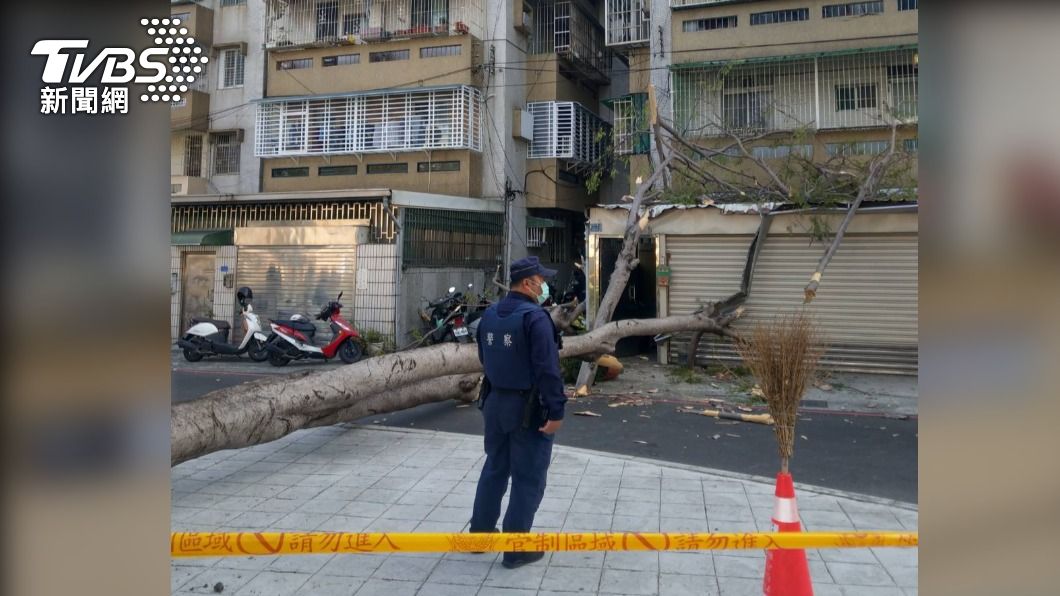 差1分鐘險壓路人！高雄路樹莫名倒塌　民宅、機車全毀