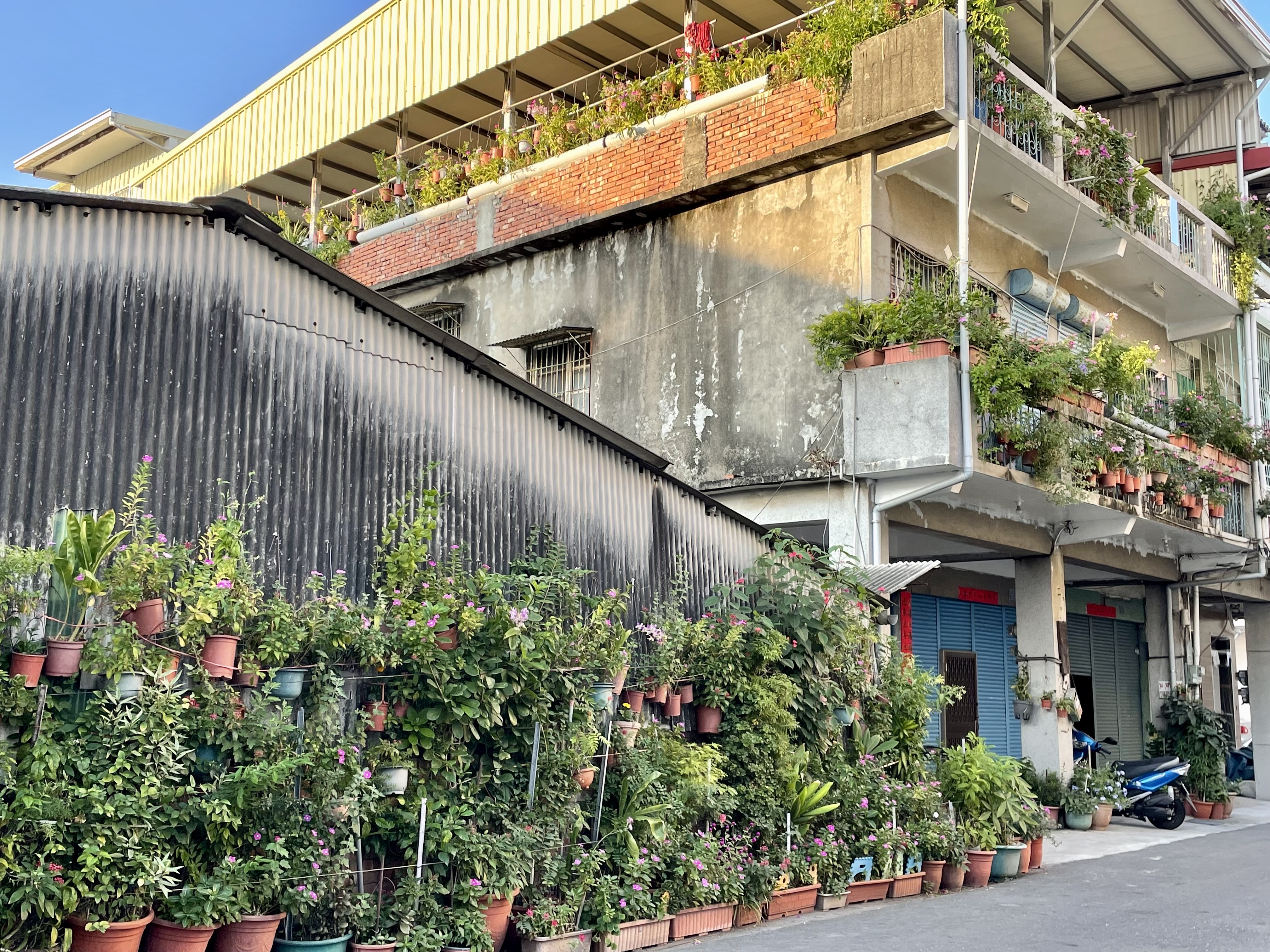 增加建物綠美化可減少碳排放。(圖/台灣房屋提供)