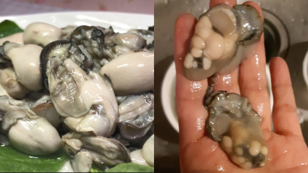 蚵仔爬滿「噁白腫瘤」嚇反胃！咬下驚現2口感　內行解答