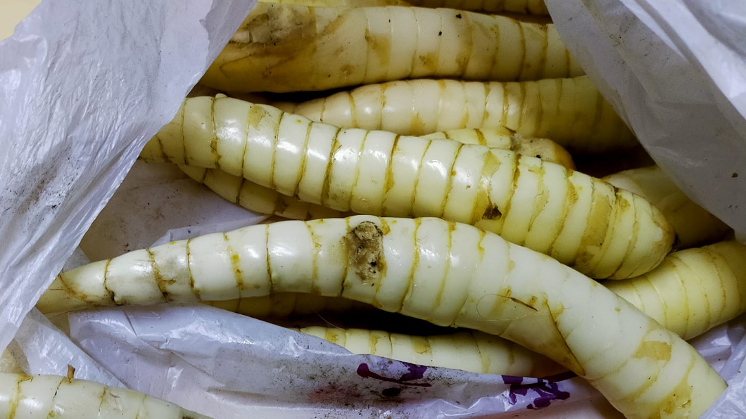罕見食材像「肥白蟲」考倒婆媽!內行激推:兒時必吃零食