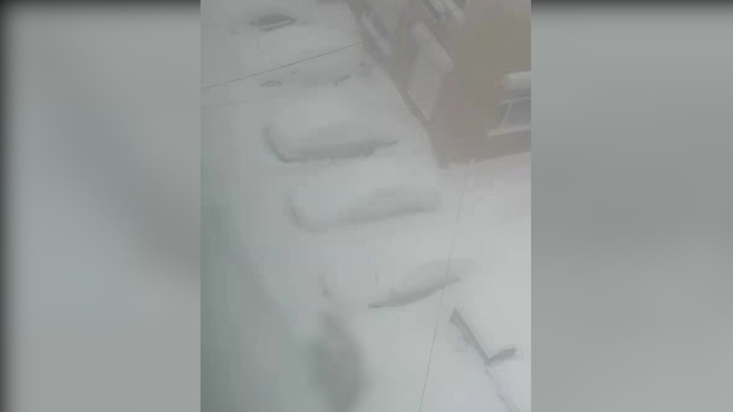 網友上傳白茫茫雪景照,還強調絕不是自己手機畫素低。(圖/翻攝自@龍江氣象微博)