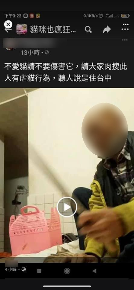 一名男子爆料光頭男疑似住台中，反被網友質疑他就是虐貓人。（圖／翻攝自貓咪也瘋狂俱樂部 CrazyCat club）