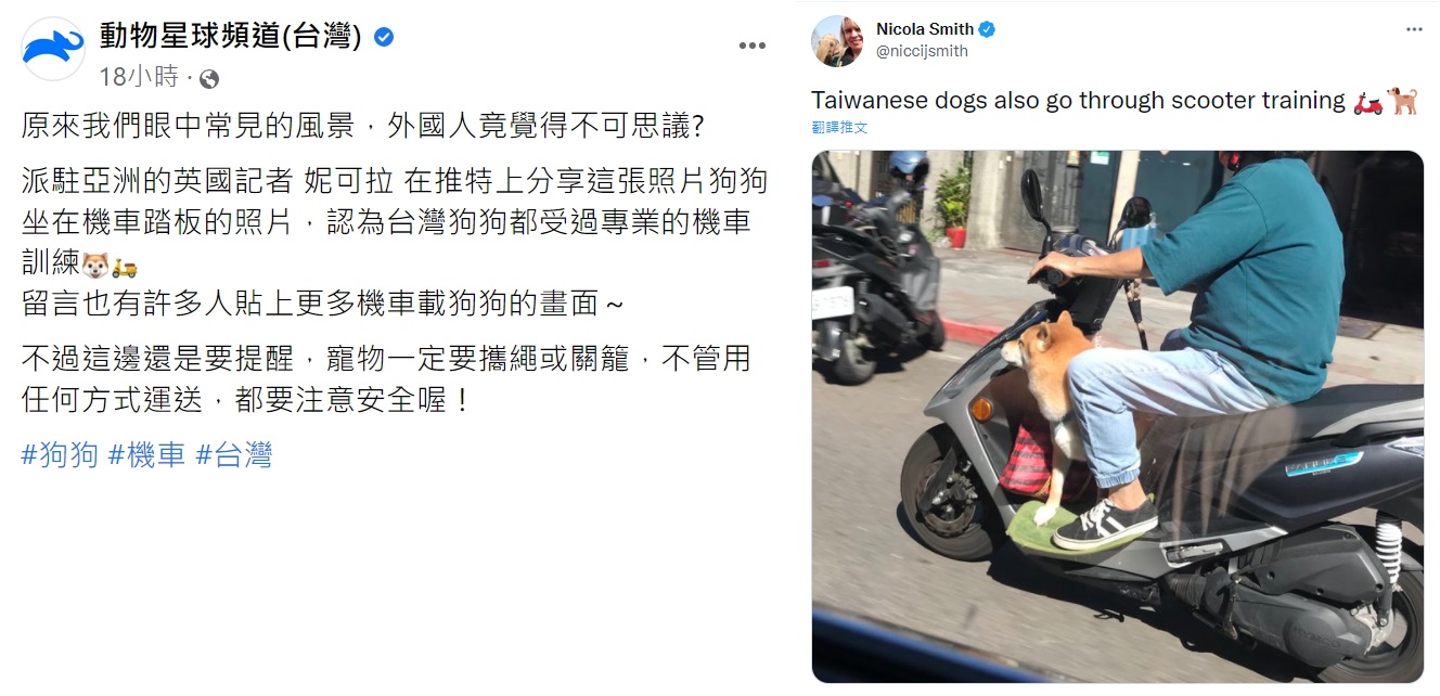動物星球頻道轉貼外國記者的貼文。(圖/翻攝自動物星球頻道台灣臉書)