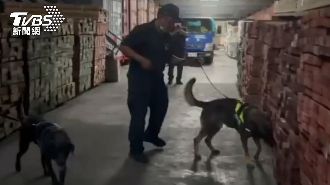 警犬出動嗅木材內是否有海洛因味道。(圖/TVBS)