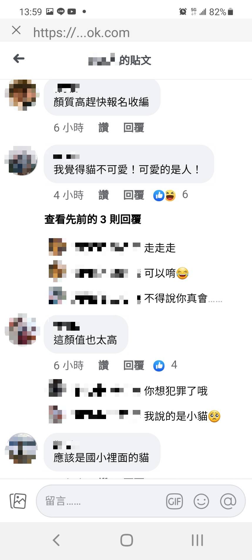 女警在臉書社團PO文表示,希望民眾收養流浪貓,但網友們紛紛歪樓。(圖/翻攝自我是麥寮人臉書)