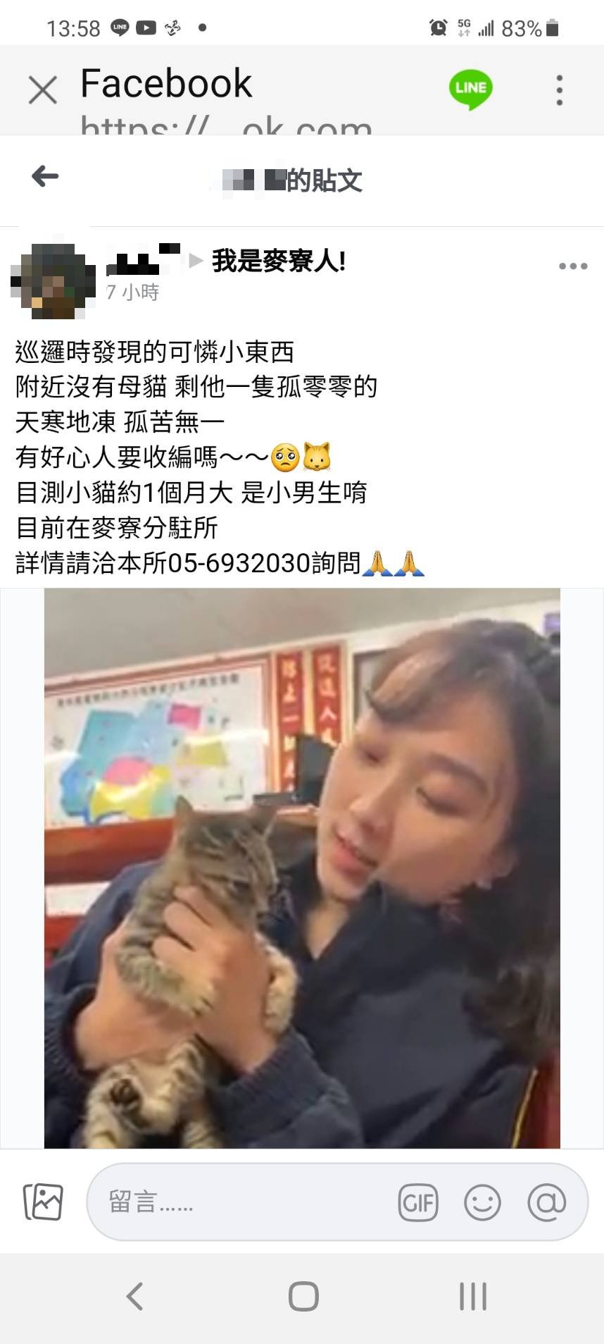 女警在臉書社團PO文表示,希望民眾收養流浪貓,但網友們紛紛歪樓。(圖/翻攝自我是麥寮人臉書)
