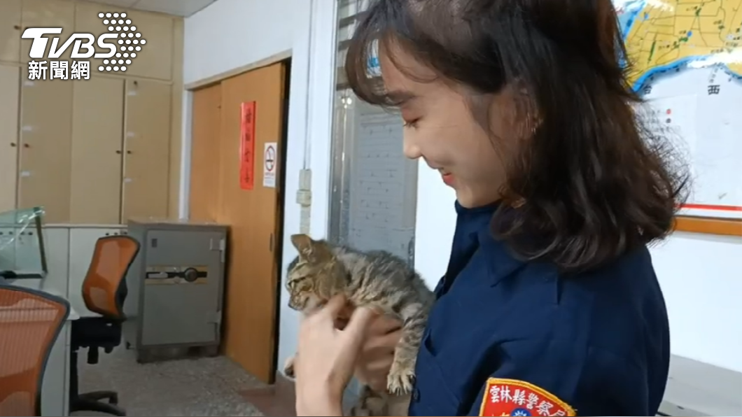 女警發文徵養流浪貓,網友們紛紛留言歪樓。(圖/TVBS)