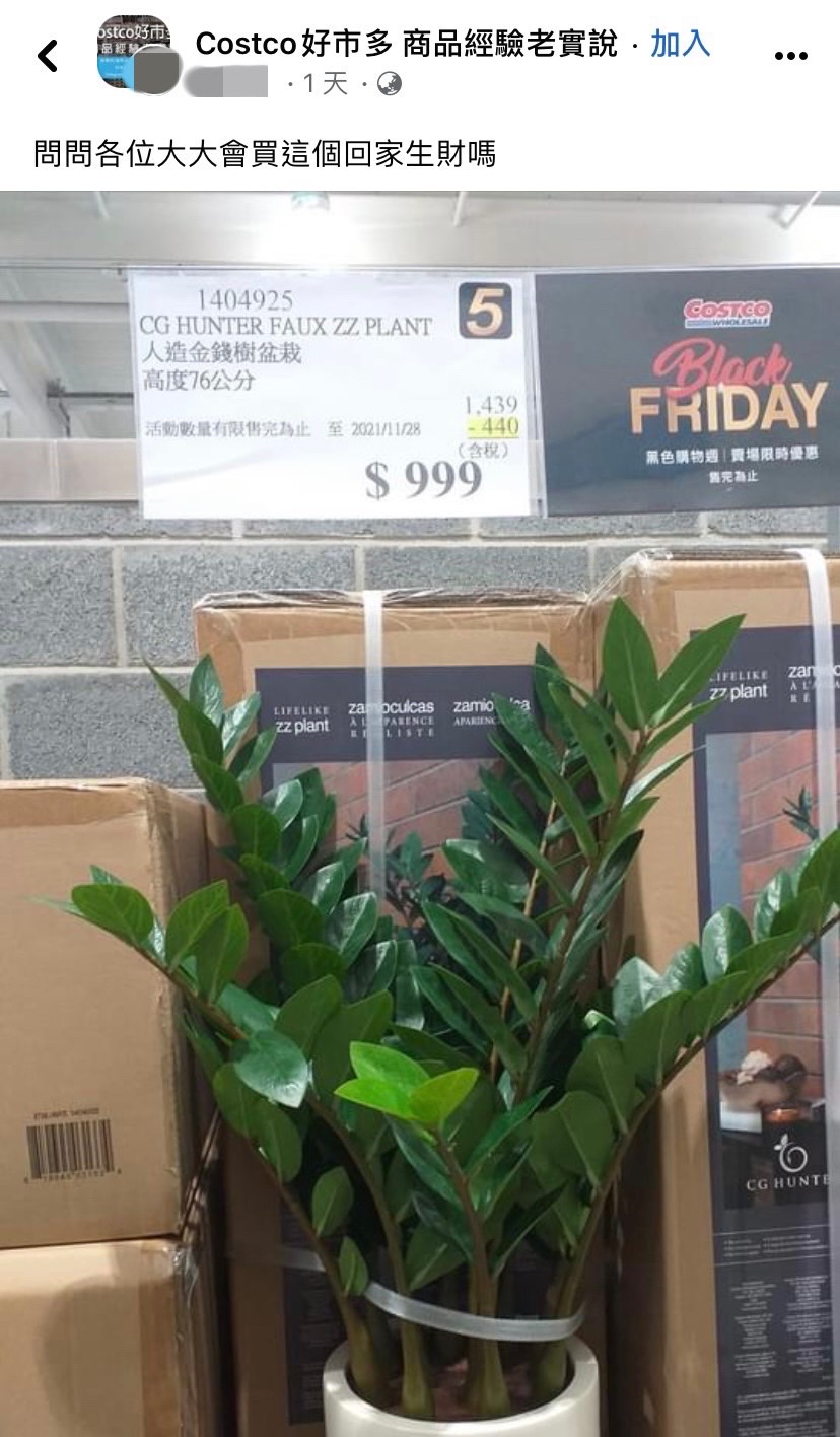 網友詢問人造盆栽買回家能否生財。(圖/翻攝自Costco好市多 商品經驗老實說臉書)