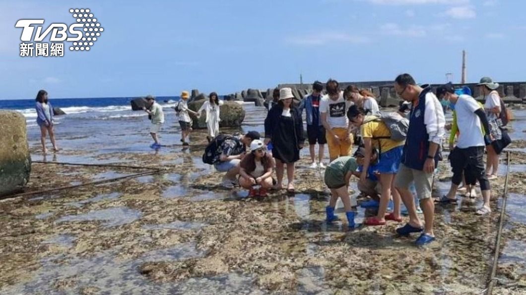 小琉球潮間帶生物大量死亡 屏府:積極面對
